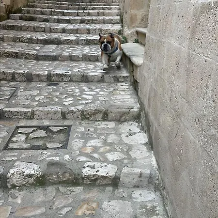 B&B Dimora La Gravina